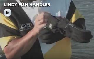 Image Lindy glove video